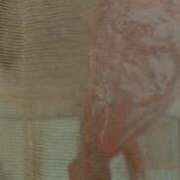 ヒメ日記 2025/04/13 12:23 投稿 せいら 北九州人妻倶楽部（三十路、四十路、五十路）