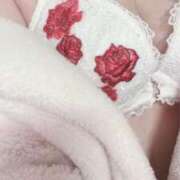 ヒメ日記 2025/04/29 14:46 投稿 せいら 北九州人妻倶楽部（三十路、四十路、五十路）