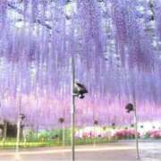 ヒメ日記 2025/05/14 21:25 投稿 せいら 北九州人妻倶楽部（三十路、四十路、五十路）