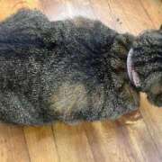 ヒメ日記 2025/07/22 15:00 投稿 せいら 北九州人妻倶楽部（三十路、四十路、五十路）