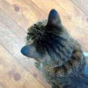 ヒメ日記 2025/08/01 22:05 投稿 せいら 北九州人妻倶楽部（三十路、四十路、五十路）