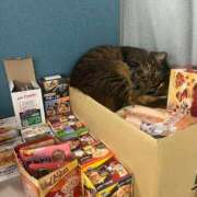 ヒメ日記 2025/08/13 17:56 投稿 せいら 北九州人妻倶楽部（三十路、四十路、五十路）