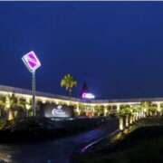 ヒメ日記 2025/09/26 14:45 投稿 せいら 北九州人妻倶楽部（三十路、四十路、五十路）