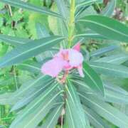 ヒメ日記 2025/10/29 20:55 投稿 せいら 北九州人妻倶楽部（三十路、四十路、五十路）