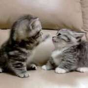 ヒメ日記 2025/11/15 19:41 投稿 せいら 北九州人妻倶楽部（三十路、四十路、五十路）