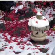 ヒメ日記 2025/11/18 13:47 投稿 せいら 北九州人妻倶楽部（三十路、四十路、五十路）