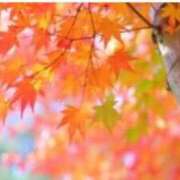 ヒメ日記 2025/11/18 13:53 投稿 せいら 北九州人妻倶楽部（三十路、四十路、五十路）