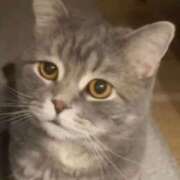 ヒメ日記 2025/11/20 21:03 投稿 せいら 北九州人妻倶楽部（三十路、四十路、五十路）