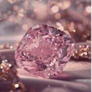 ヒメ日記 2025/12/27 02:24 投稿 せいら 北九州人妻倶楽部（三十路、四十路、五十路）