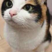 ヒメ日記 2025/12/28 14:59 投稿 せいら 北九州人妻倶楽部（三十路、四十路、五十路）