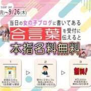 ヒメ日記 2024/09/20 13:51 投稿 あんず 新宿カルテ