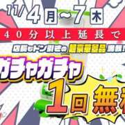 ヒメ日記 2024/11/05 13:51 投稿 あんず 新宿カルテ