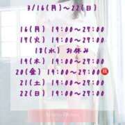 ヒメ日記 2026/03/17 07:15 投稿 夏目-Natsume- Aroma Bloom（アロマブルーム）