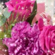 ヒメ日記 2025/12/09 07:14 投稿 華 東京人妻フォーシーズンズ