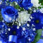 ヒメ日記 2025/12/18 09:14 投稿 華 東京人妻フォーシーズンズ