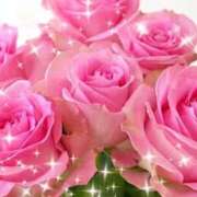 ヒメ日記 2026/01/30 10:14 投稿 華 東京人妻フォーシーズンズ