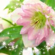 ヒメ日記 2026/02/03 19:04 投稿 華 東京人妻フォーシーズンズ