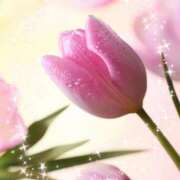 ヒメ日記 2026/02/12 13:44 投稿 華 東京人妻フォーシーズンズ