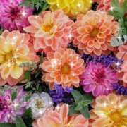 ヒメ日記 2026/02/21 22:24 投稿 華 東京人妻フォーシーズンズ