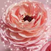 ヒメ日記 2026/02/24 20:44 投稿 華 東京人妻フォーシーズンズ