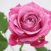 ヒメ日記 2026/03/09 09:14 投稿 華 東京人妻フォーシーズンズ