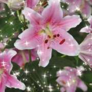 ヒメ日記 2026/03/11 19:54 投稿 華 東京人妻フォーシーズンズ