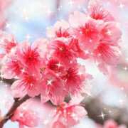 ヒメ日記 2026/03/14 21:14 投稿 華 東京人妻フォーシーズンズ