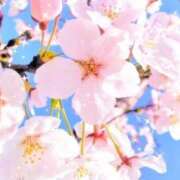 ヒメ日記 2026/03/22 06:14 投稿 華 東京人妻フォーシーズンズ