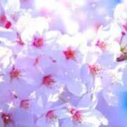 ヒメ日記 2026/03/26 12:24 投稿 華 東京人妻フォーシーズンズ