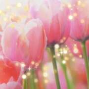 ヒメ日記 2026/03/27 19:34 投稿 華 東京人妻フォーシーズンズ