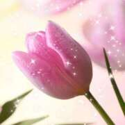 ヒメ日記 2026/04/12 07:04 投稿 華 東京人妻フォーシーズンズ