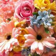 華 週末は何してますか❓ 東京人妻フォーシーズンズ