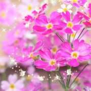 華 こんにちは❣️ 東京人妻フォーシーズンズ