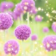 ヒメ日記 2026/05/03 12:54 投稿 華 東京人妻フォーシーズンズ