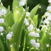 ヒメ日記 2026/06/10 07:44 投稿 華 東京人妻フォーシーズンズ
