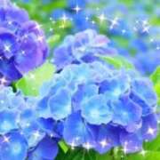 ヒメ日記 2026/07/01 09:34 投稿 華 東京人妻フォーシーズンズ
