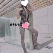 ヒメ日記 2025/11/07 12:28 投稿 金本ともこ 月の真珠-新宿-