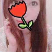 ヒメ日記 2026/03/30 10:18 投稿 金本ともこ 月の真珠-新宿-