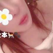 ヒメ日記 2026/09/30 12:36 投稿 金本ともこ 月の真珠-新宿-