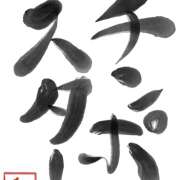 ヒメ日記 2026/01/08 12:28 投稿 える 秋葉原 添い寝女子