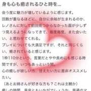 ヒメ日記 2025/02/13 11:21 投稿 Reno THE RICH