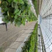 ヒメ日記 2025/04/27 07:42 投稿 Reno THE RICH