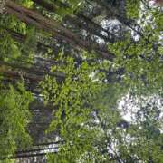 ヒメ日記 2025/05/24 07:58 投稿 Reno THE RICH