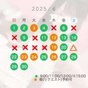 ヒメ日記 2025/05/25 07:46 投稿 Reno THE RICH