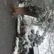 ヒメ日記 2026/02/09 08:04 投稿 Reno THE RICH