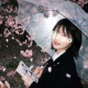 ヒメ日記 2026/04/03 08:23 投稿 Reno THE RICH