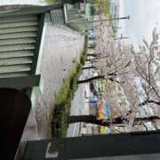 ヒメ日記 2026/04/08 08:15 投稿 Reno THE RICH