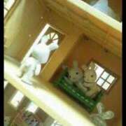 ヒメ日記 2025/05/31 02:40 投稿 うらら ウルトラセレクション