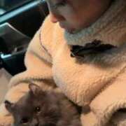 ヒメ日記 2026/03/22 19:20 投稿 うらら ウルトラセレクション