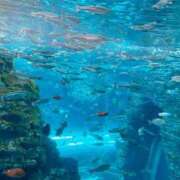 ヒメ日記 2025/02/02 11:33 投稿 のん LEXE ～レグゼ～